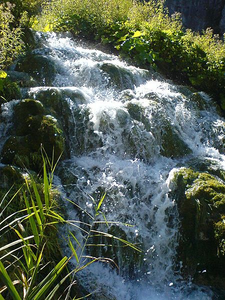 450px-Plitvice_Lakes_06.jpg