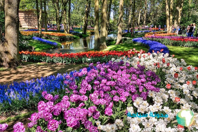 Keukenhof-Gardens.jpg