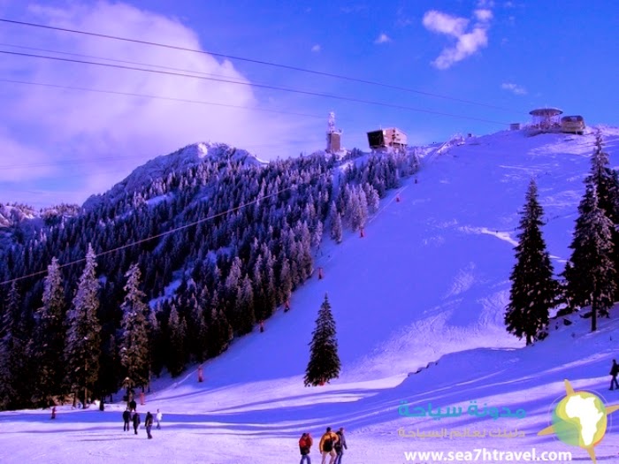 poza-partia-de-ski-poiana-brasov-2.jpg