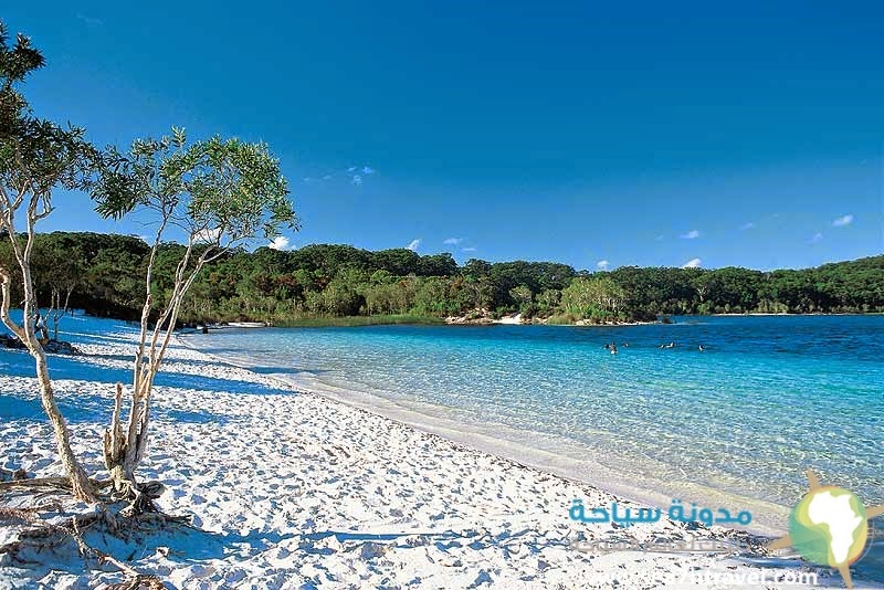 Fraser-Island-Australia.jpg