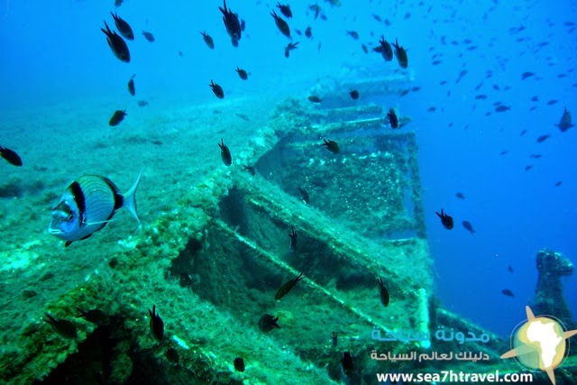 Cyprus-Diving.jpg