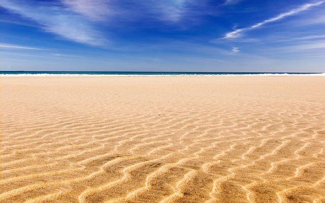 Beach%252C%2BFuerteventura%252C%2BCanary%2BIslands.jpg