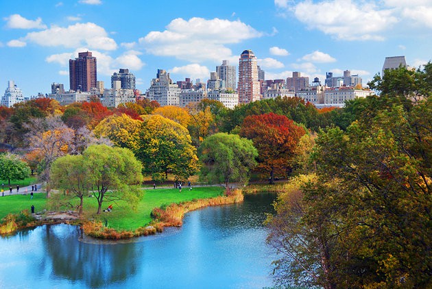 new-york-city-central-park-1.jpg