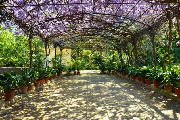 botanical-gardens-malaga.jpg