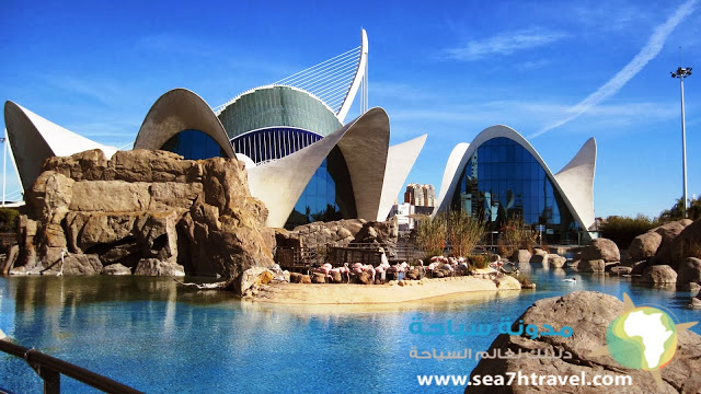 Valencia-Aquarium-Amazing.jpg