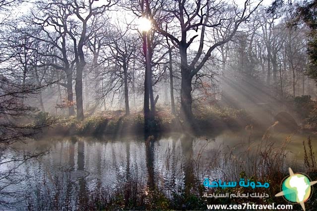 Hampstead-Heath1.jpg