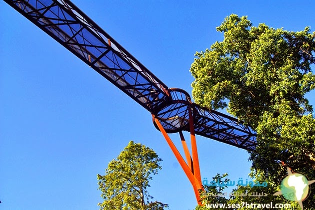 london-kew-gardens-treetop-walkway.jpg