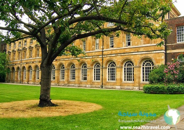 london-westminster-abbey-gardens.jpg