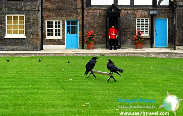 london-tower-of-london-other-towers.jpg