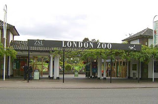 london+zoo.jpg