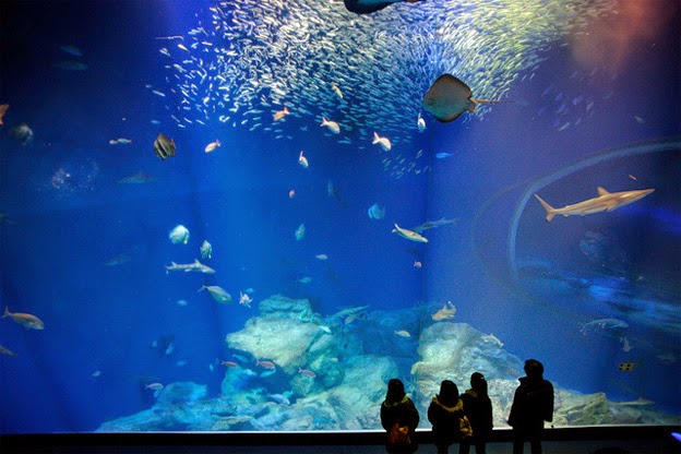 aquaworld-aquarium-crete.jpg