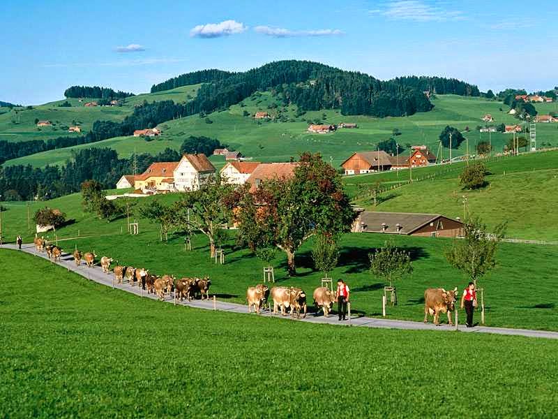 Appenzell_Switzerland.jpg