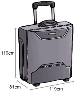 baggage-checked-baggage_28.png