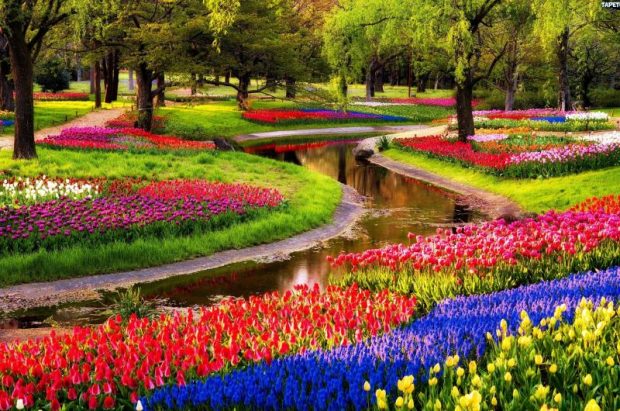 3-Keukenhof-1-620x411.jpg