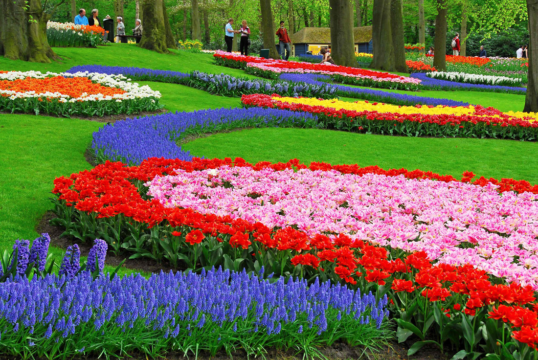 Keukenhof015.jpg