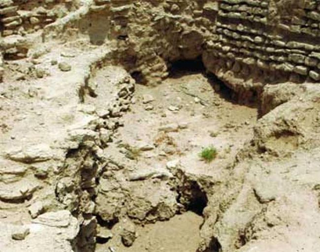 chaeological-sites-in-the-Emirate-of-Umm-Al-Quwain.jpg