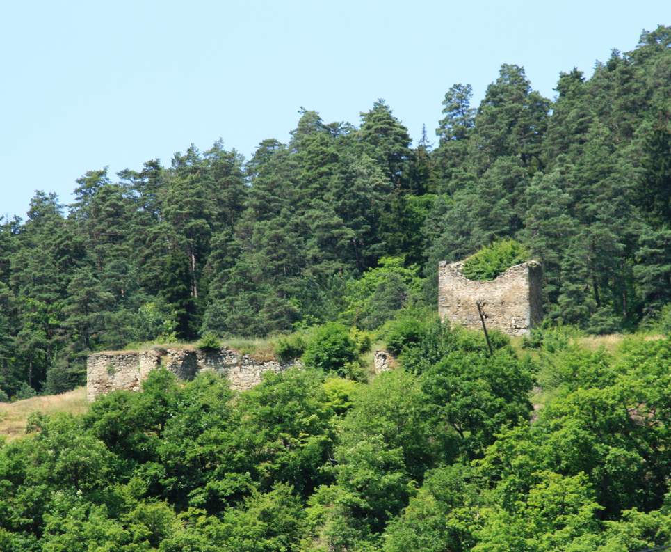 Borjomi_Gogia_fortress.jpg