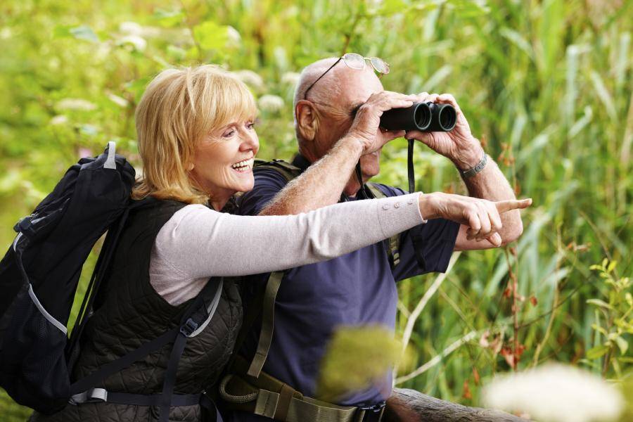 Birdwatching-Adults.jpg