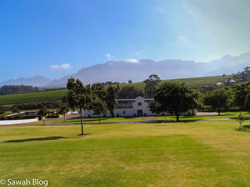 stellenbosch-8.jpg