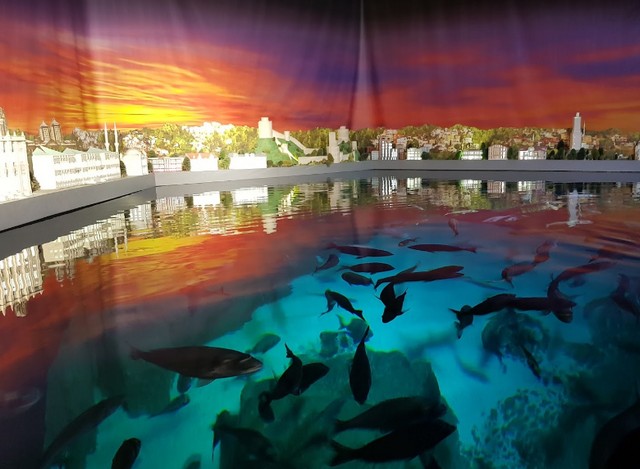 Istanbul-Aquarium.jpg