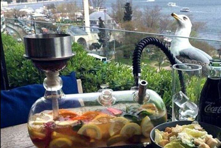 Shisha-cafes-in-Istanbul-1.jpg