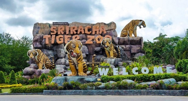 Sriracha-Tiger-Zoo.jpg