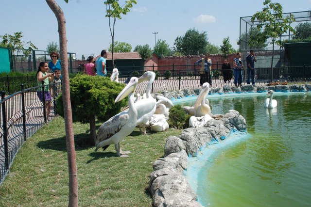 Konya-Zoo15.jpg