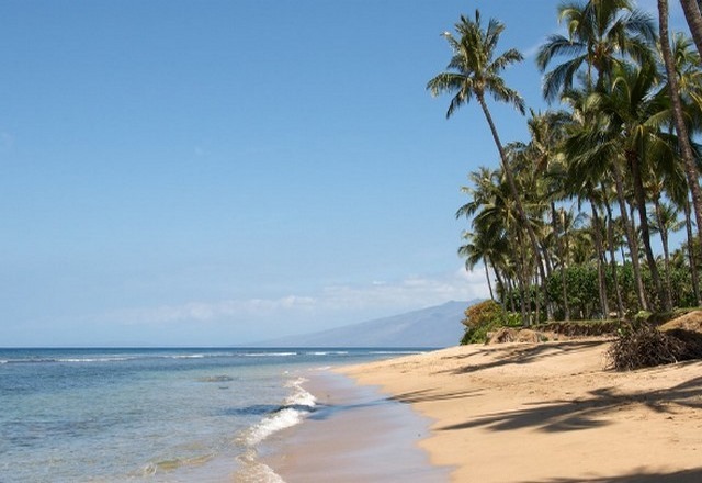 Maui-Island9.jpg