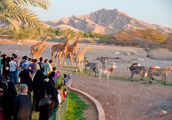 Al-Ain-Zoo-a.jpg