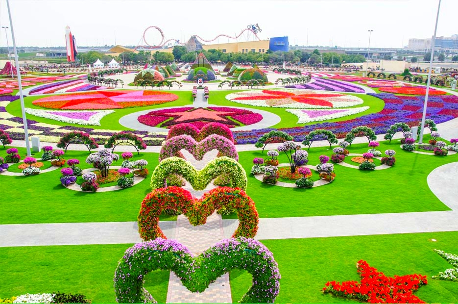 miracle-garden11.jpg