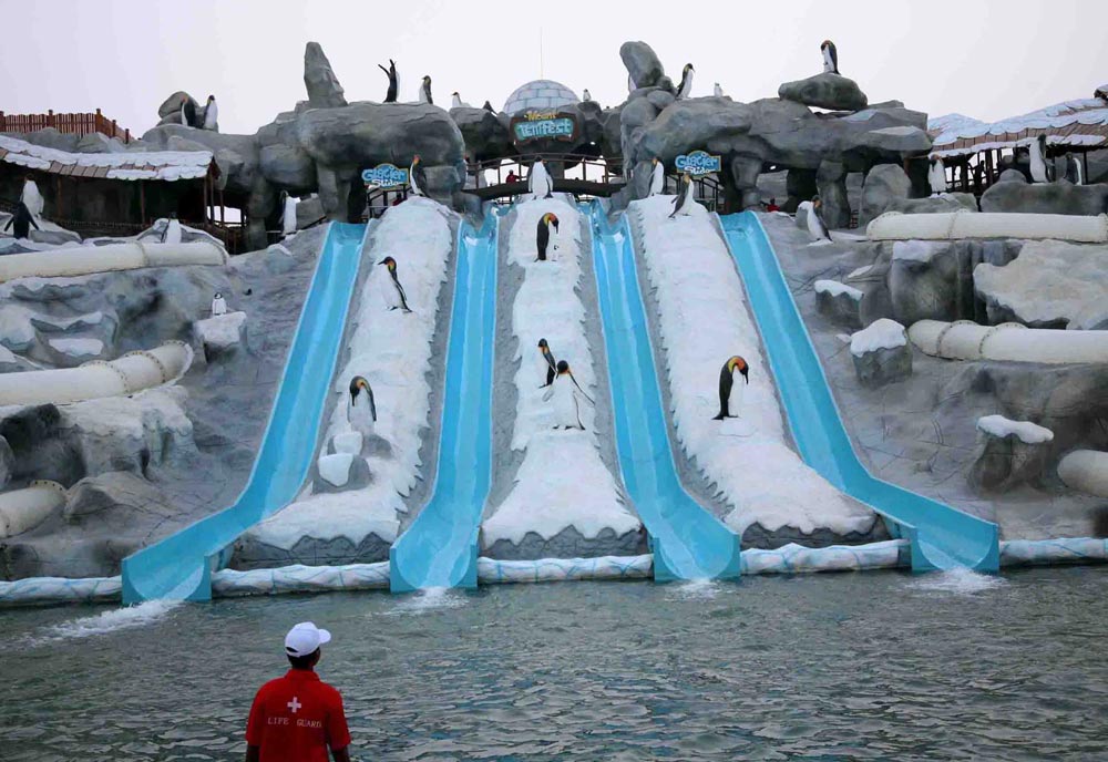 Ice-Land-Water-Park.jpg