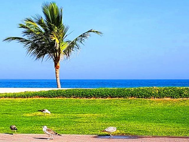 Muscat-Parks-2.jpg