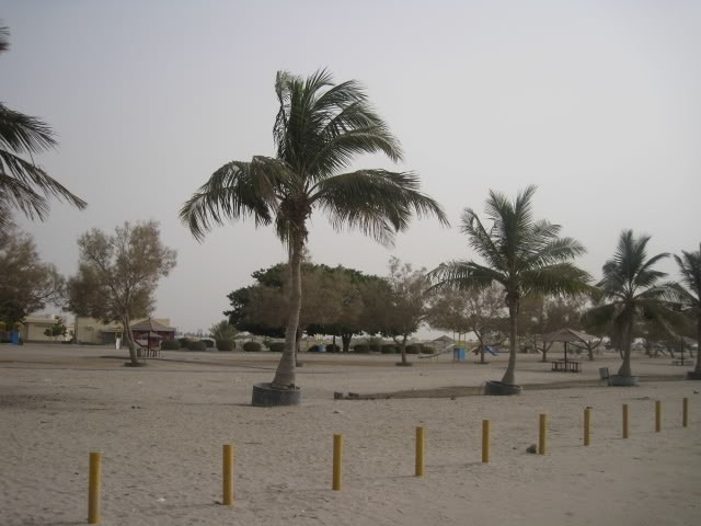 Al-Sawadi-Beach-Barka-3.jpg