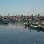 Dhow-Harbour-150x150.jpg