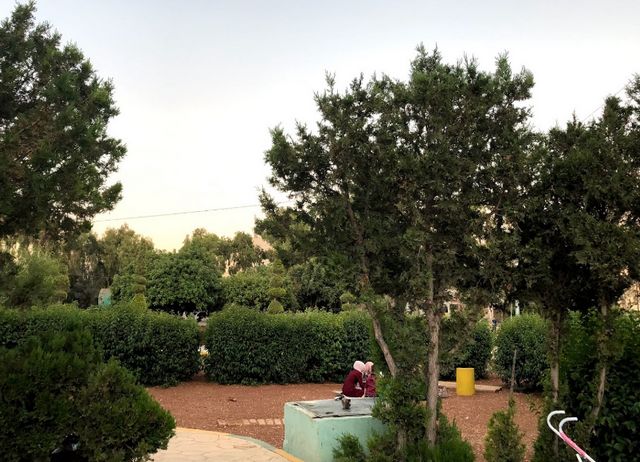 Tunis-Garden.jpg