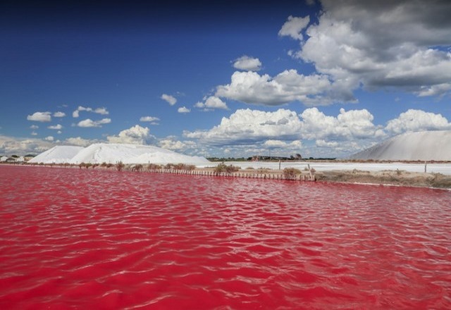 The-Rose-Lake-in-Senegal5.jpg