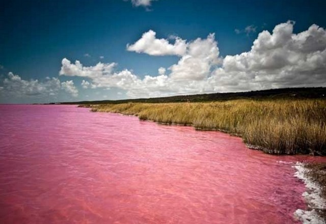 The-Rose-Lake-in-Senegal.jpg