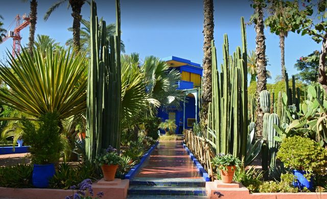 Gardens-Marrakech-3.jpg