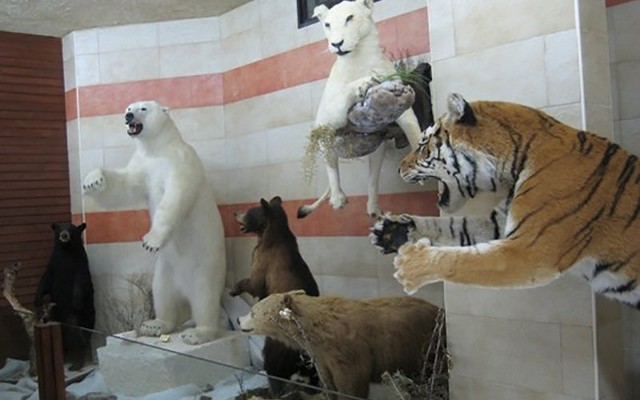 Zoo-in-Jijel-1.jpg