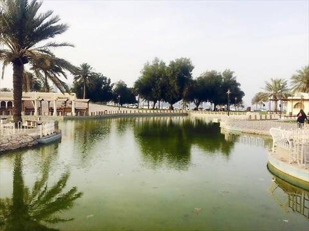 Al-bidda-Park-2.jpg