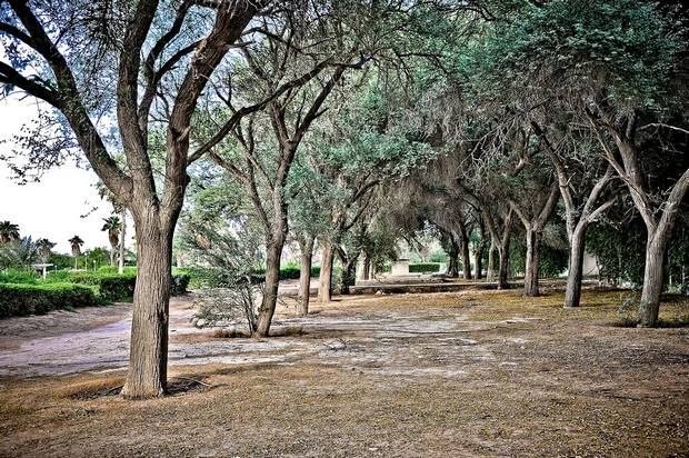 Al-Khor-Park-1.jpg