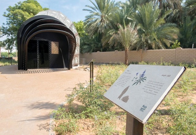 Al-Ain-Oasis-4.jpg