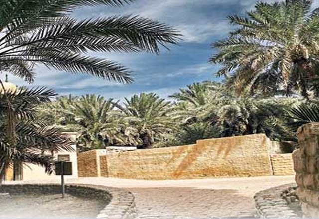 Al-Ain-Oasis-3.jpg