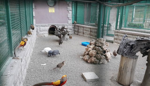 Ankara-zoo6.jpg