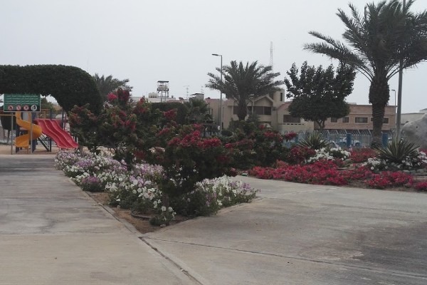 Al-Khobar-Roses-Garden-2.jpg