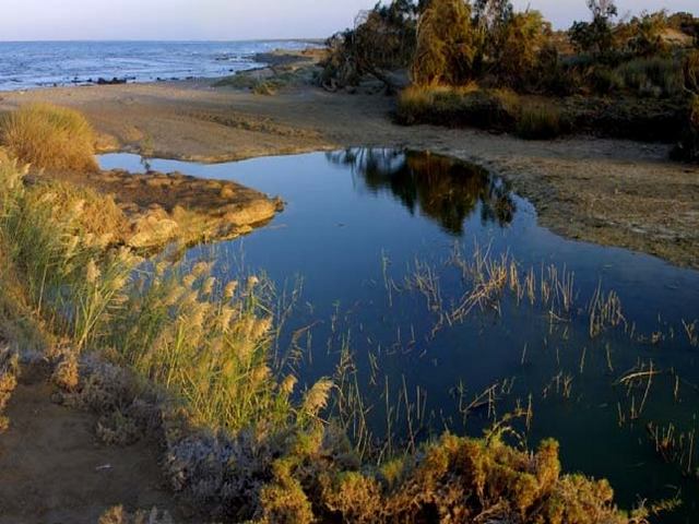 Wadi-El-Gamal-National-Park-0.jpg