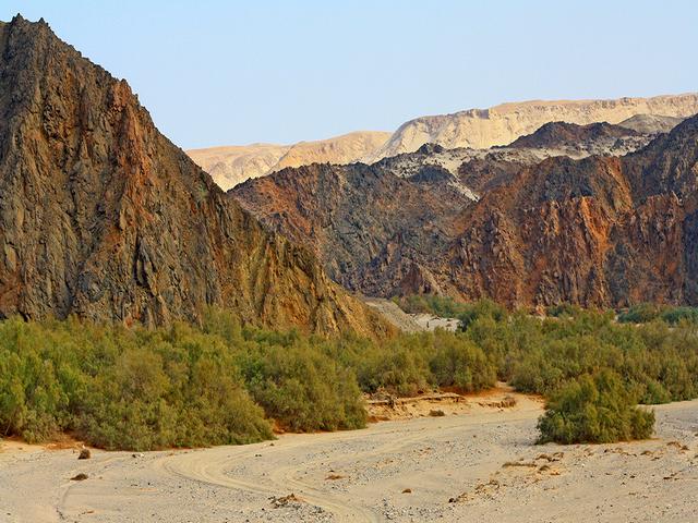 Wadi-El-Gamal-National-Park-4.jpg