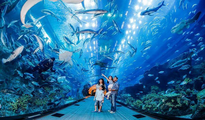 family-attractions-in-dubai-2.jpg