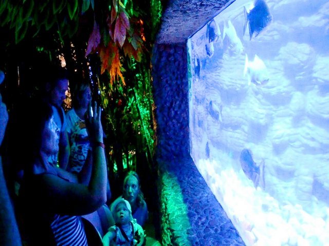 Hurghada-Grand-Aquarium-0.jpg