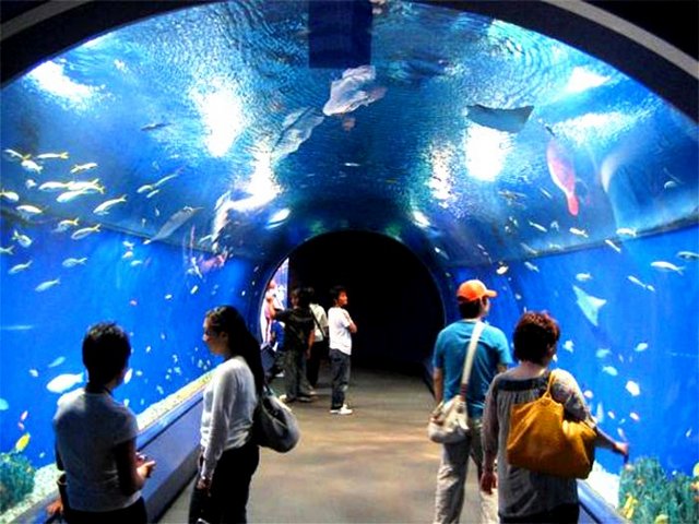 Hurghada-Grand-Aquarium-3.jpg